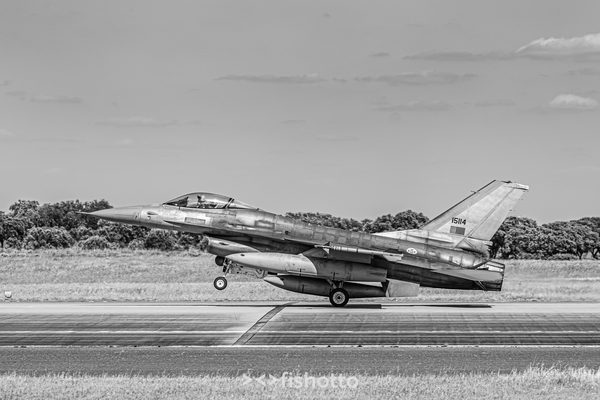 NTM21 Nato Tiger Meet B&W — foto 73