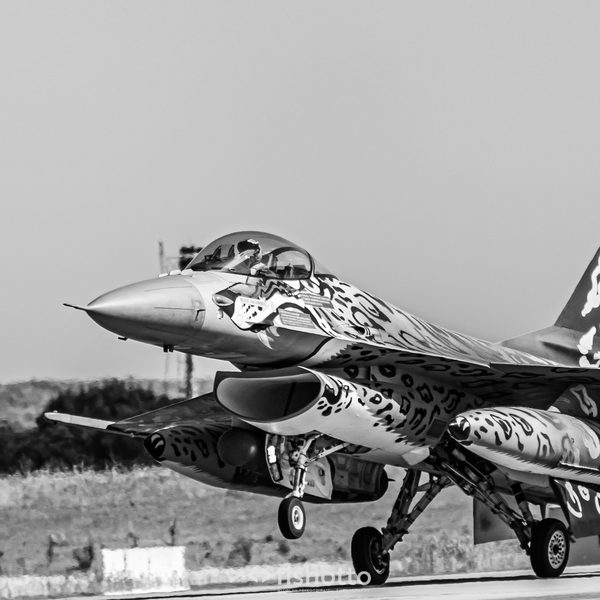 NTM21 Nato Tiger Meet B&W — foto 74