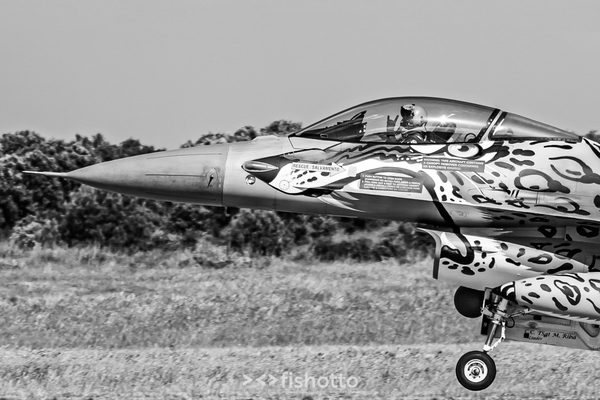 NTM21 Nato Tiger Meet B&W — foto 75