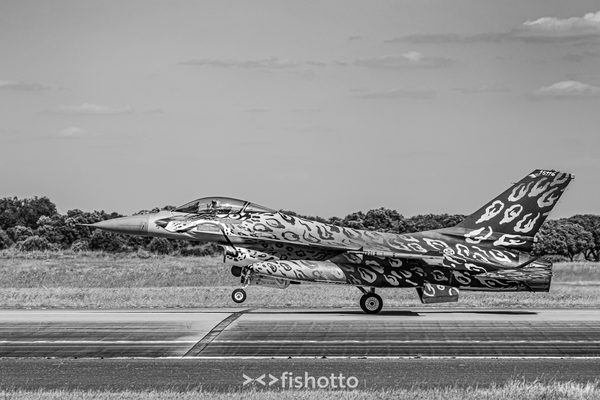 NTM21 Nato Tiger Meet B&W — foto 76