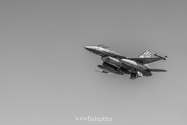 NTM21 Nato Tiger Meet B&W — foto 77