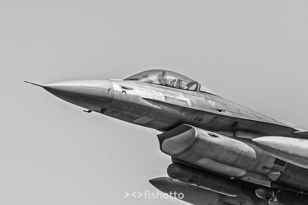 NTM21 Nato Tiger Meet B&W — foto 78
