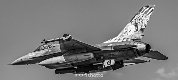 NTM21 Nato Tiger Meet B&W — foto 79
