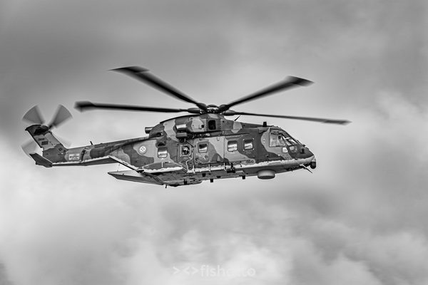 NTM21 Nato Tiger Meet B&W — foto 8