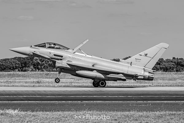 NTM21 Nato Tiger Meet B&W — foto 81
