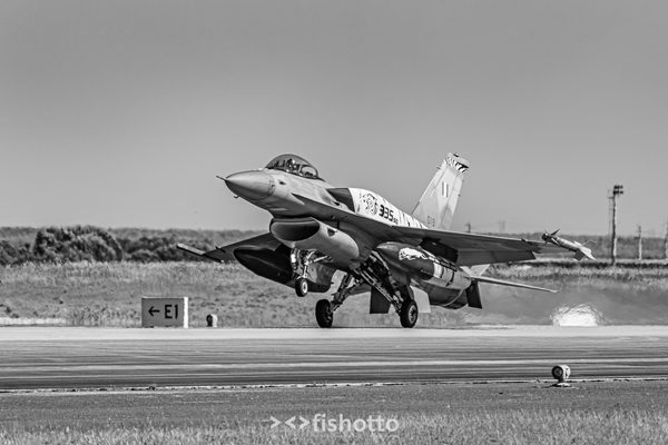 NTM21 Nato Tiger Meet B&W — foto 83