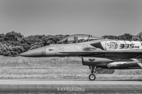 NTM21 Nato Tiger Meet B&W — foto 84
