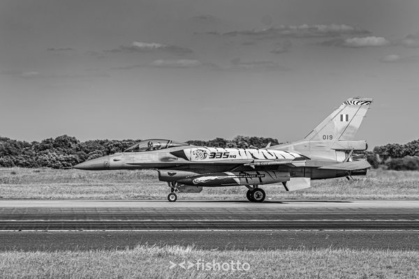 NTM21 Nato Tiger Meet B&W — foto 85