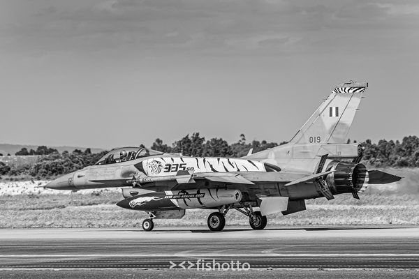 NTM21 Nato Tiger Meet B&W — foto 86