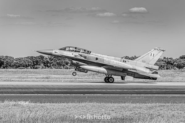 NTM21 Nato Tiger Meet B&W — foto 88