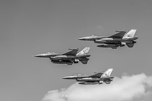 NTM21 Nato Tiger Meet B&W — foto 89