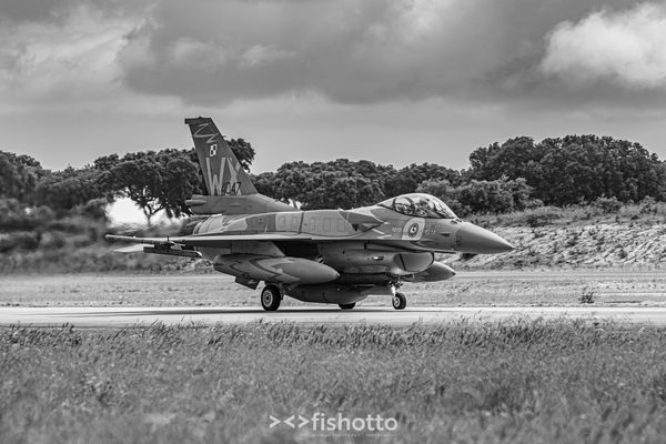 NTM21 Nato Tiger Meet B&W — foto 9