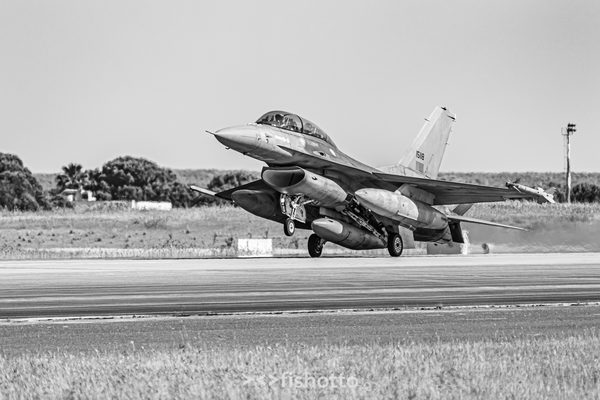 NTM21 Nato Tiger Meet B&W — foto 91