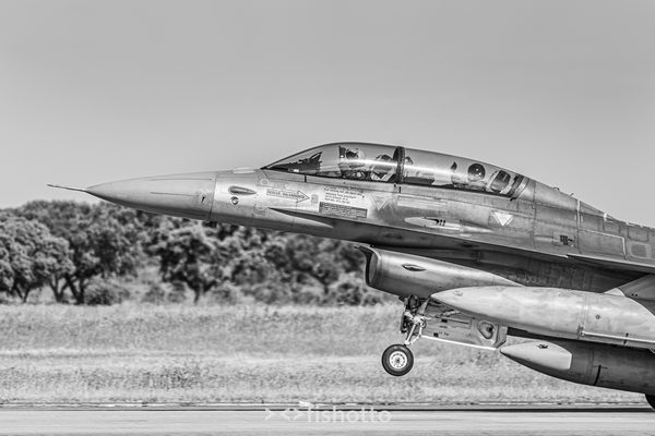NTM21 Nato Tiger Meet B&W — foto 92