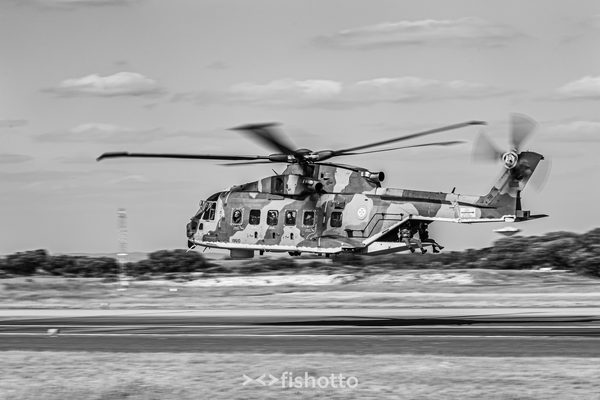 NTM21 Nato Tiger Meet B&W — foto 94