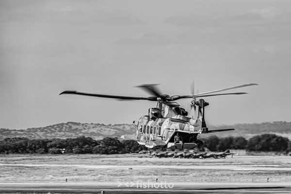 NTM21 Nato Tiger Meet B&W — foto 95