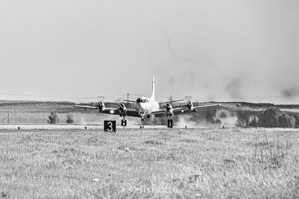 NTM21 Nato Tiger Meet B&W — foto 96