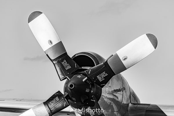NTM21 Nato Tiger Meet B&W — foto 97