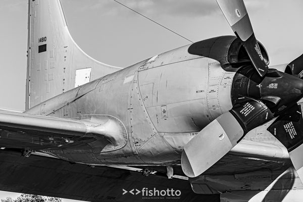 NTM21 Nato Tiger Meet B&W — foto 98